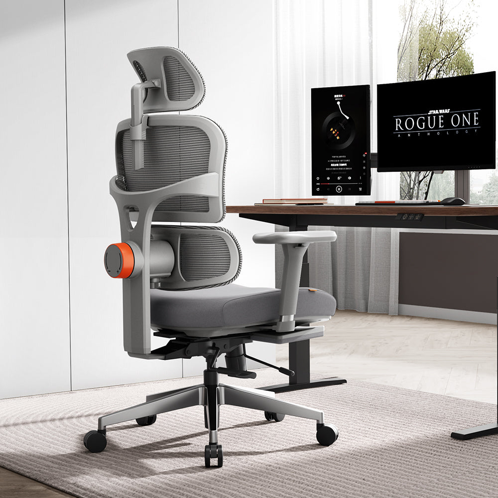 Newtral NT002 Ergonomic Home Office Chair with Auto-following Lumbar Support-Grey