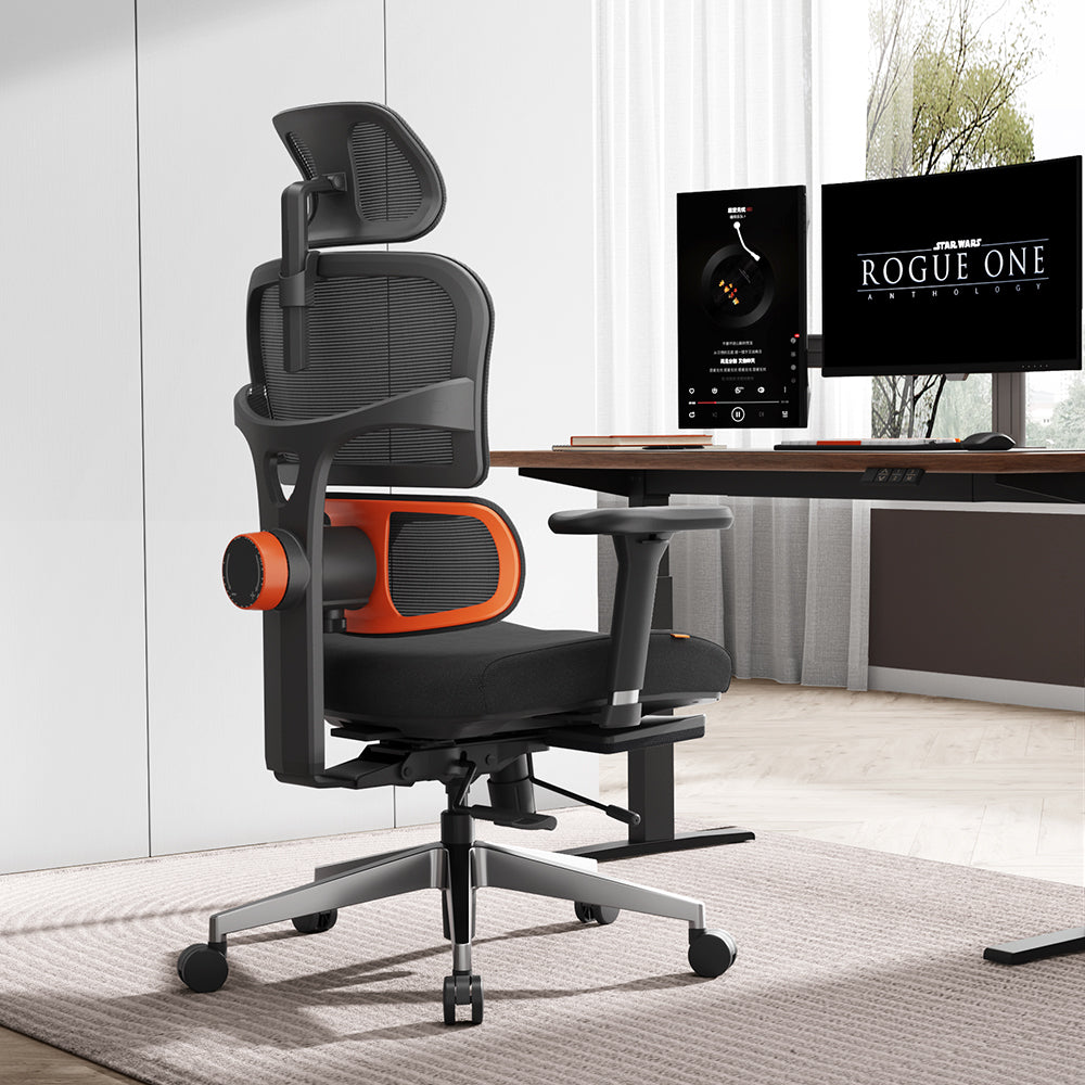 ergonomic office chair with lumbar support