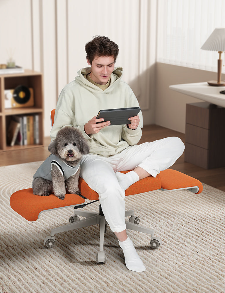 pet-friendly ergonomic chair