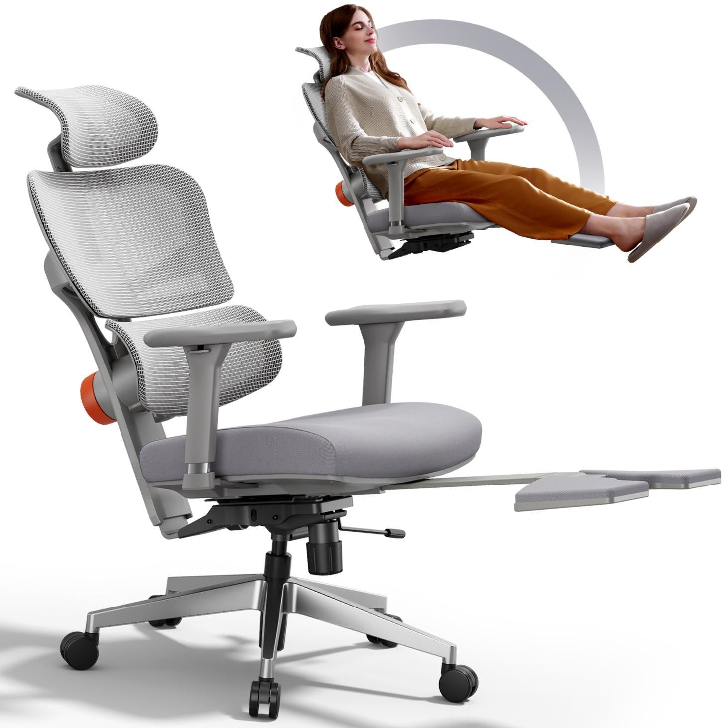 Ergo Office Chair