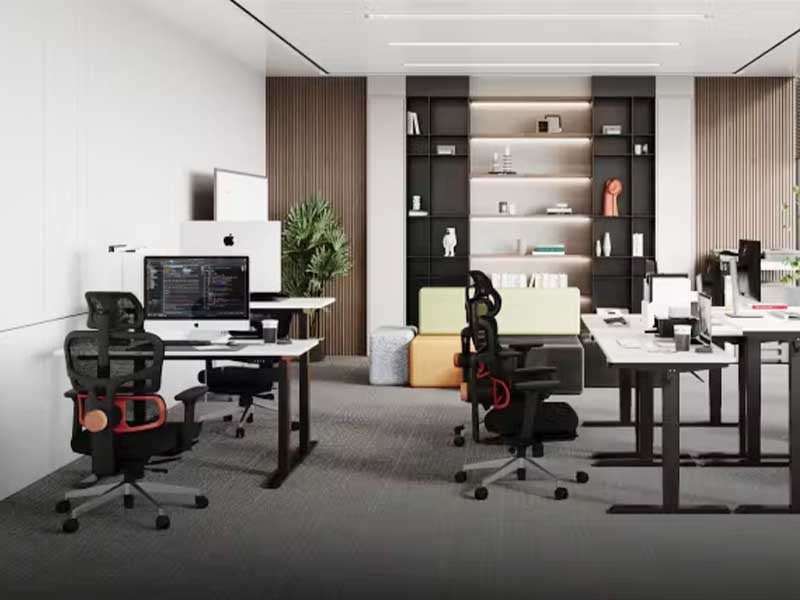 Best Ergonomic chairs in Newtral Brand