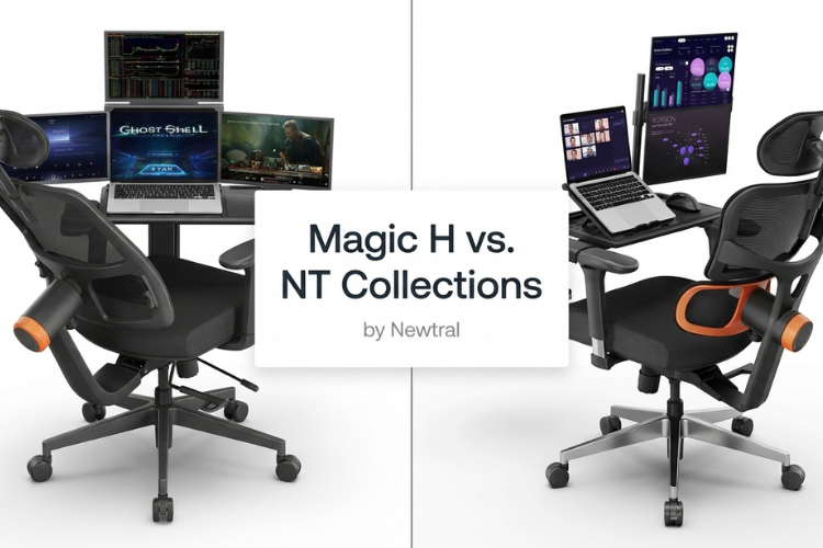 NT vs. Magic H Collections