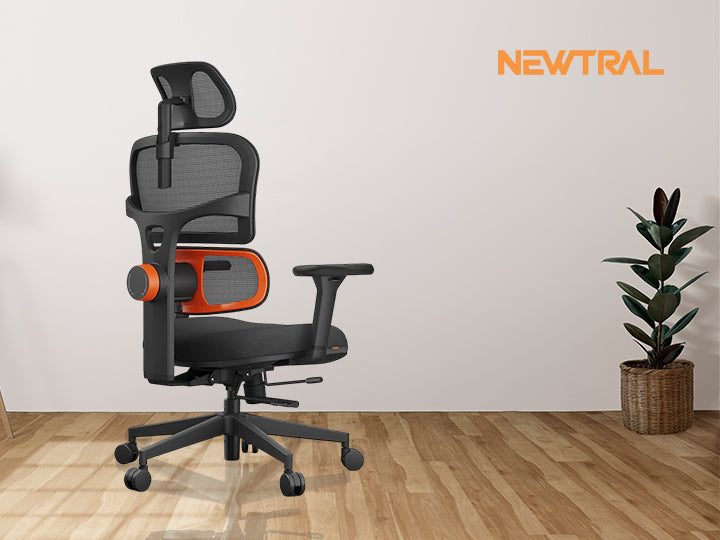 Ergonomic Chairs