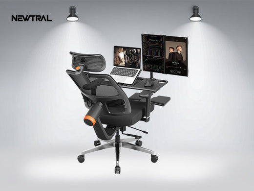 Ergonomic Chair