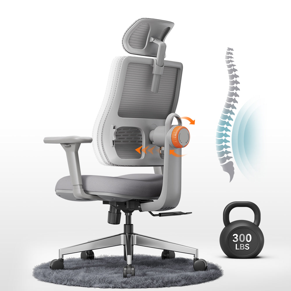 Newtral Magic H003 Ergonomic Office Chair with Neck and Back Support