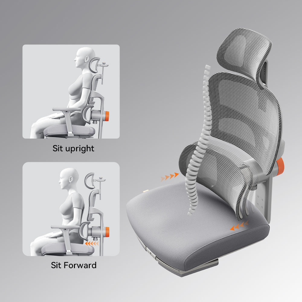 Newtral NT002 Ergonomic Home Office Chair with Auto-following Lumbar Support-Grey