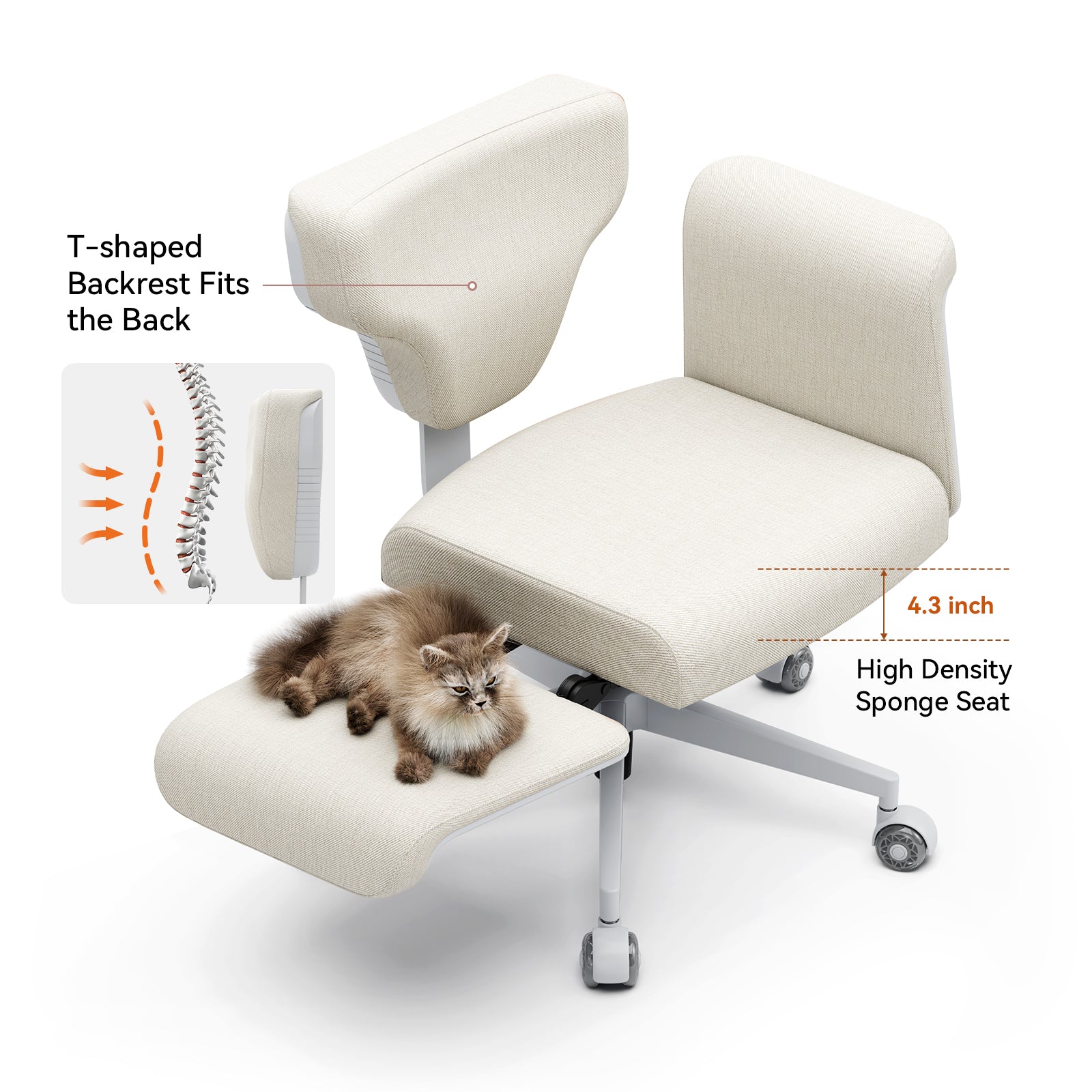 Newtral | Shop the Best Chair For At Home Work Online