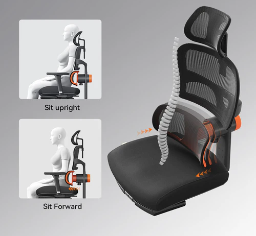 Lumbar Support Office Chair