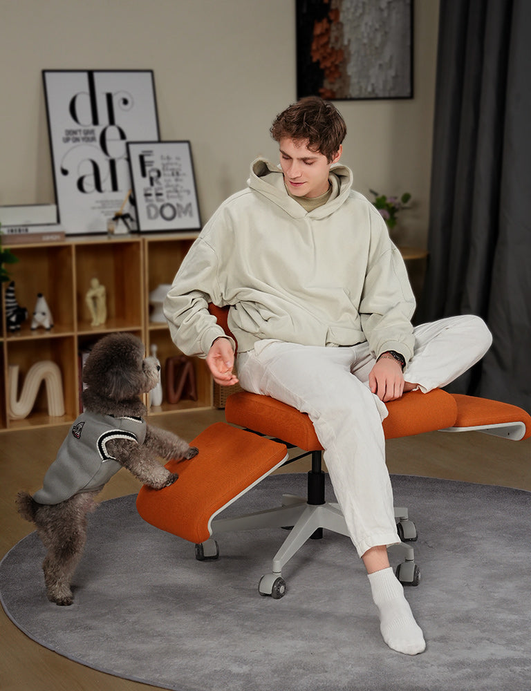pet-friendly home chair