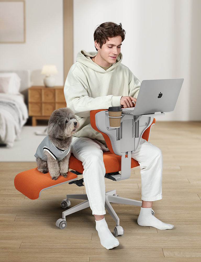 pet-friendly office chair